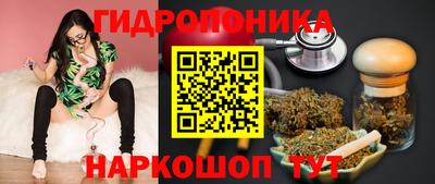 гашик Будённовск