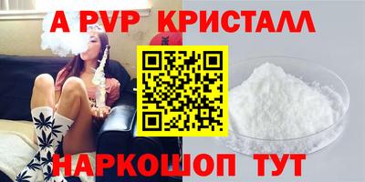 гашик Будённовск
