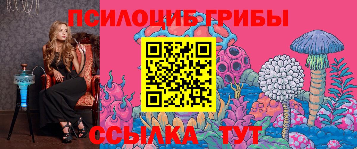 Сыктывкар  Галлюциногенные грибы прущие грибы  Вход с VPN 